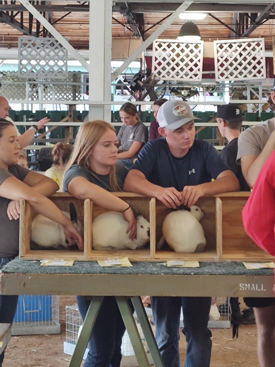 4-H youth show their rabbit projects at a previous Monroe County Fair. The local Small Animal Master Stockman program seeks funding for this year's program, which allows 4-H youth a chance to learn even more about the animals they show.