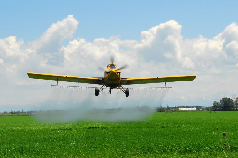 La fumigación es una tarea considerada fundamental