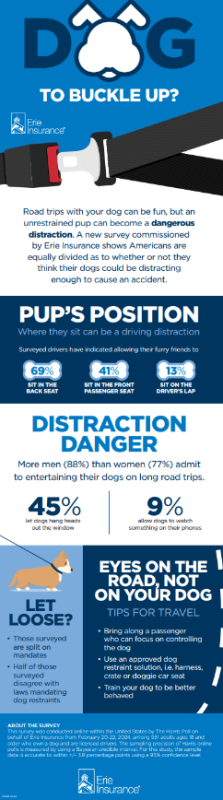 Shocking numbers prove that dogs are a distraction.<p>Provided by Erie Insurance</p>