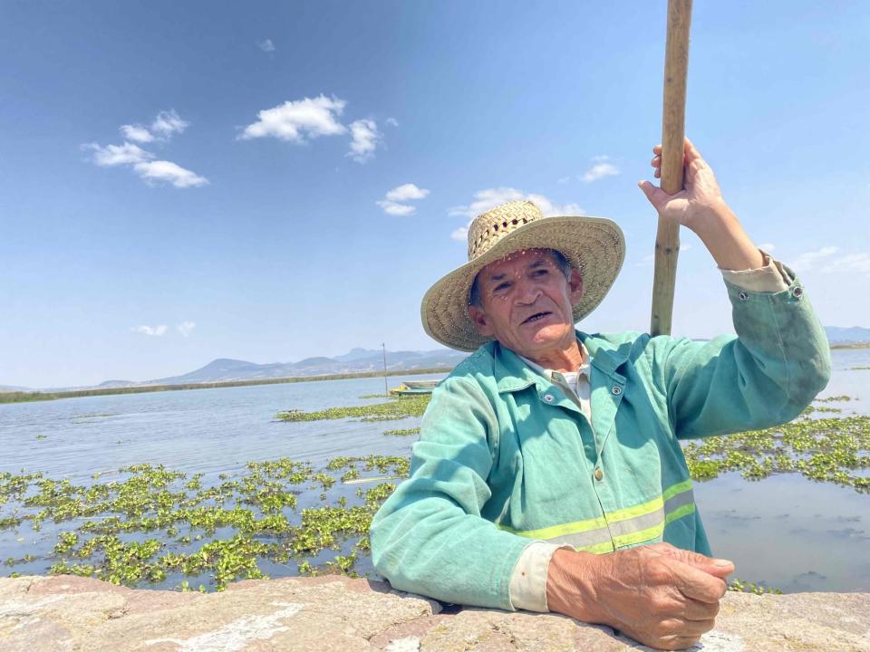 Habitantes de las comunidad vecinas a la laguna temen que el lirio deseque la laguna, por la cantidad de agua que consume. Foto: Uriel Gámez.