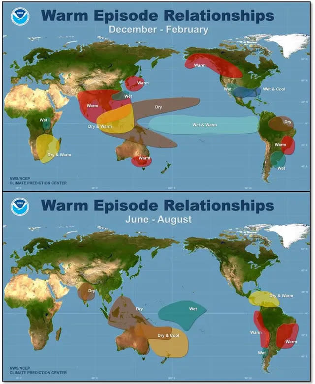 Die globalen Auswirkungen von El Niño. - Copyright: NCEP