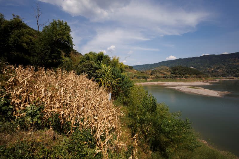 FILE PHOTO: China's food security dream faces land, soil and water woes