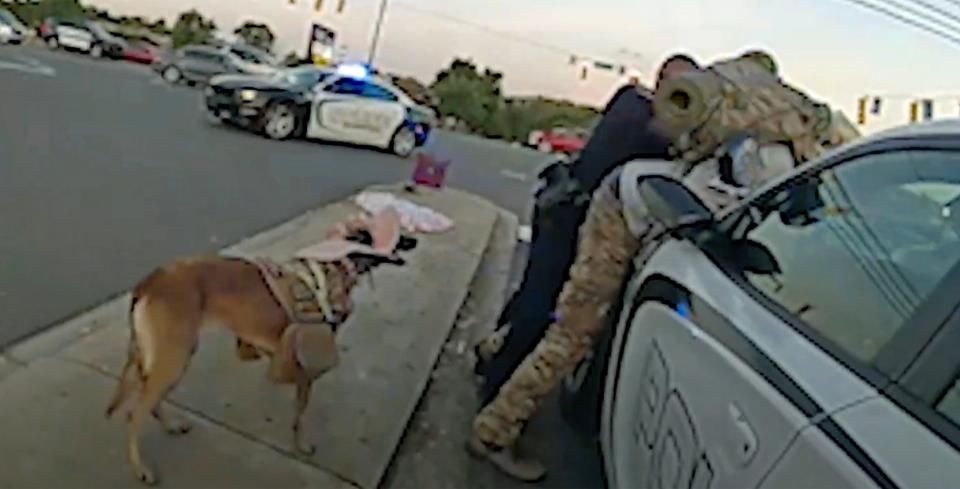 Officer Cierra Brooks pins Joshua Rohrer against a police car as she arrests him.