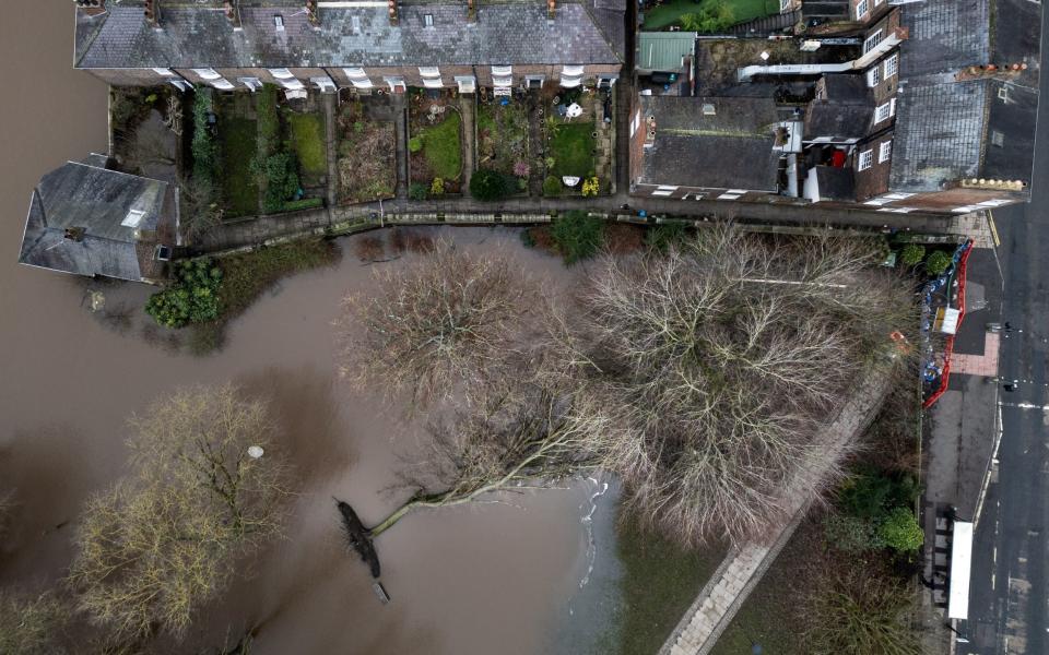 A fallen tree is pictured amid flood water in York after the River Ouse broke its banks