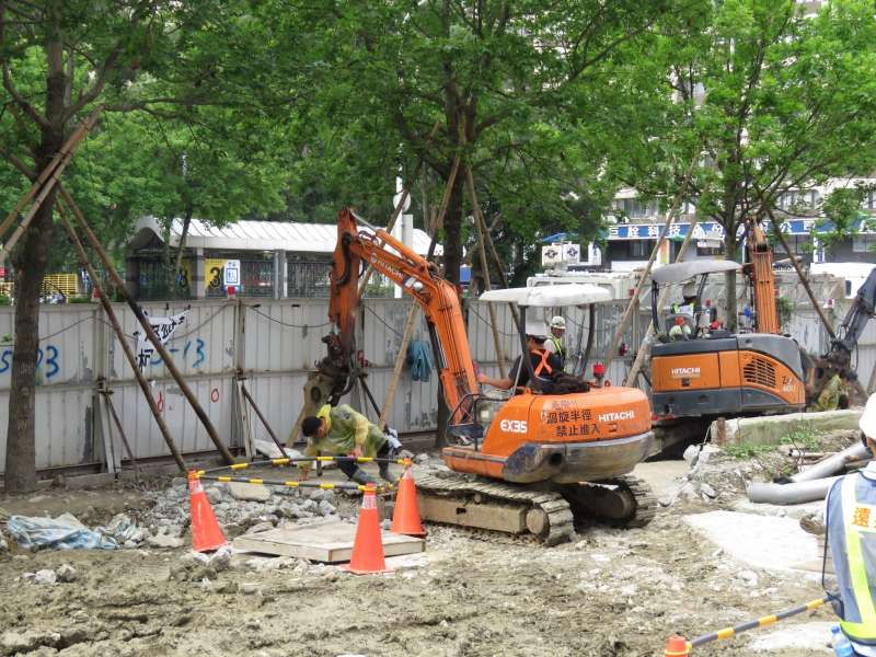 遠雄移植大巨蛋周圍33棵行道樹工程持續進行。（取自「麵包台」臉書）