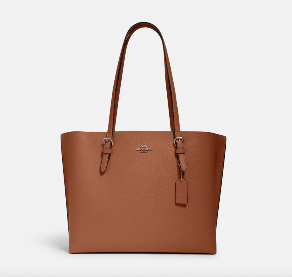 Mollie Tote in brown leather (Photo via Coach Outlet)