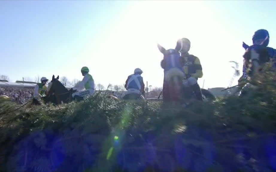horses at fence - Credit: ITV