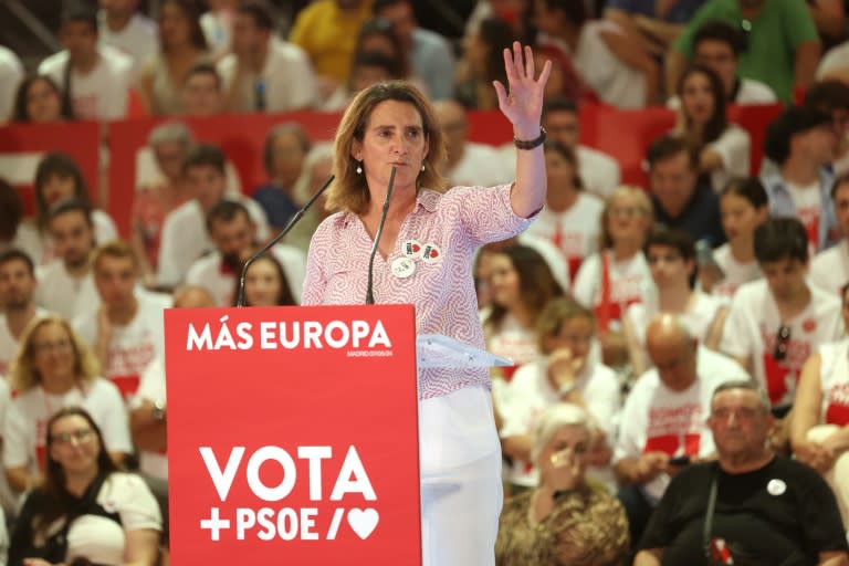 Spain's ecological transition minister Teresa Ribera is tipped to inherit a major portfolio as an EU commissioner (Pierre-Philippe MARCOU)