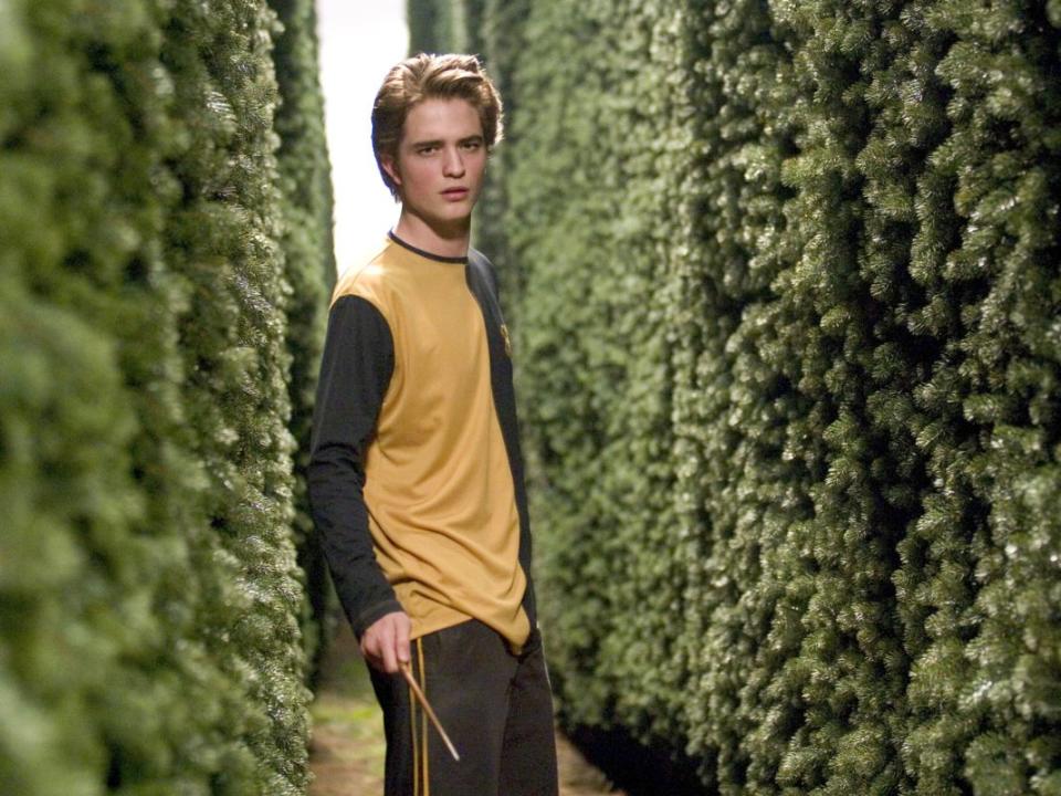 CedricDiggory_WB_F4_CedricDiggoryInTriwizardMaze_Still_080615_Land