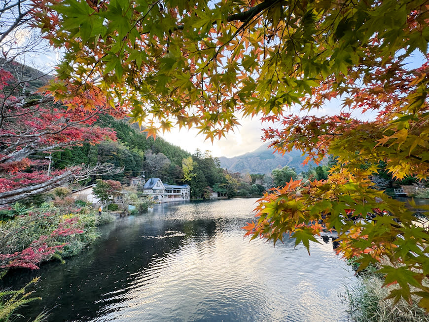 日本大分｜金鱗湖