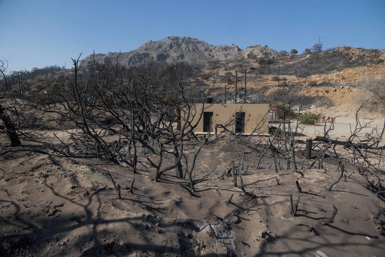 Charred trees are seen next to the beach of Glystra, as a wildfire burns on the island of Rhodes (REUTERS)
