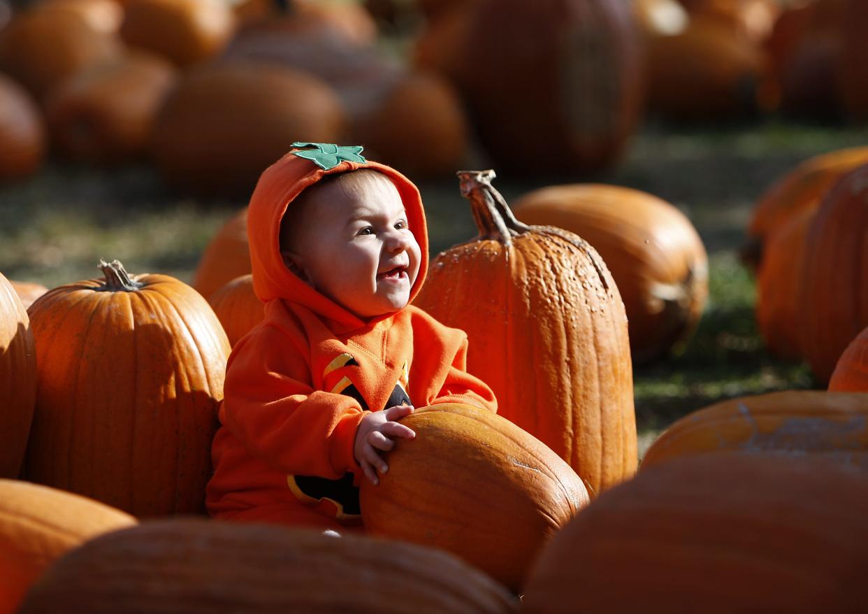 Pumpkin patches are great for the whole family.