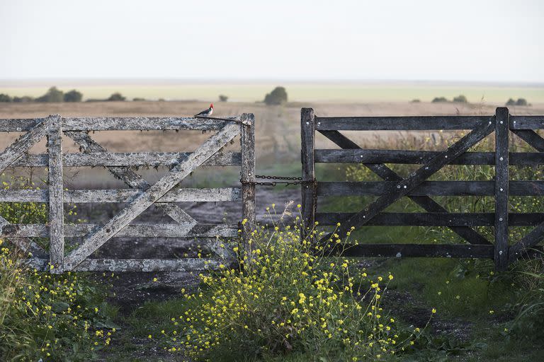 Tranquera de un campo cerca de Victoria, Entre Ríos