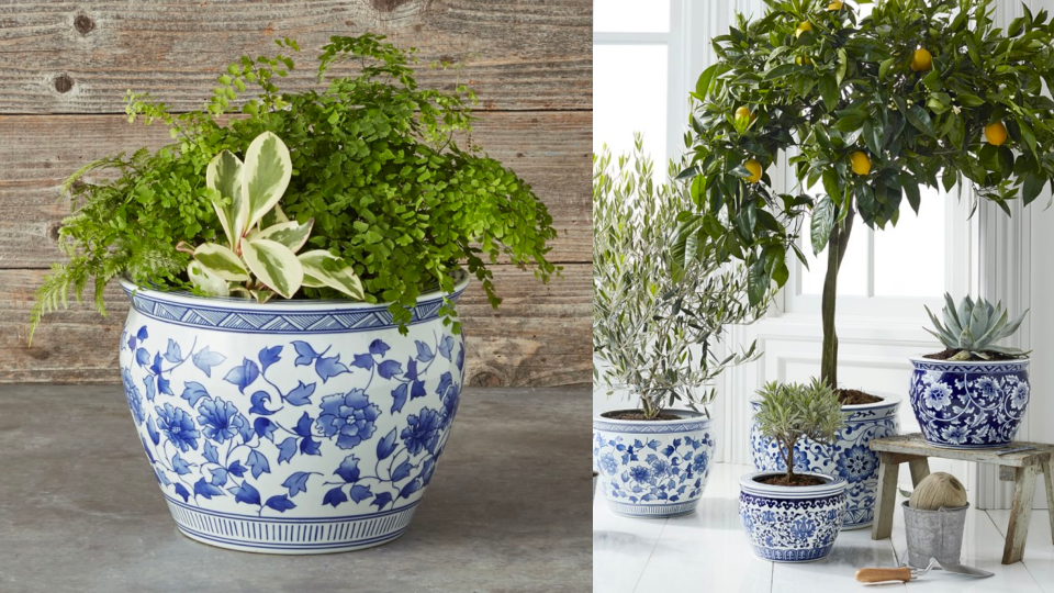 Blue and white ceramic planters perfectly capture the "coastal grandmother" look for your greenery.