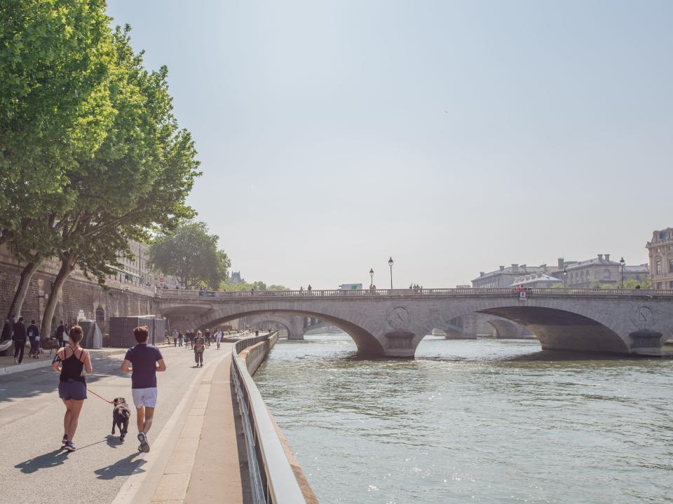 Two runners with a dog on the tree-lined banks of the seine with a large grey bridge in the distance.