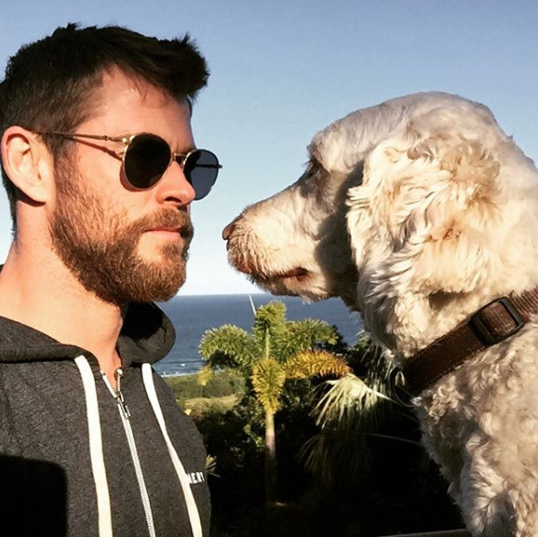 Chris has previously teased that his adorable dog is “vicious” but we see straight through his joker behaviour. Source: Instagram/ChrisHemsworth