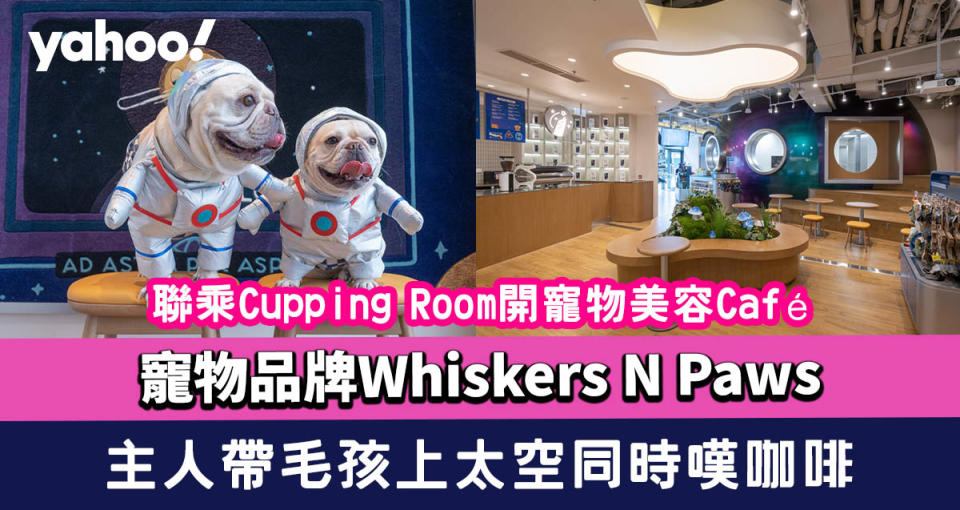 寵物品牌Whiskers N Paws聯乘Cupping Room開寵物美容Café 主人帶毛孩上「太空」同時嘆咖啡