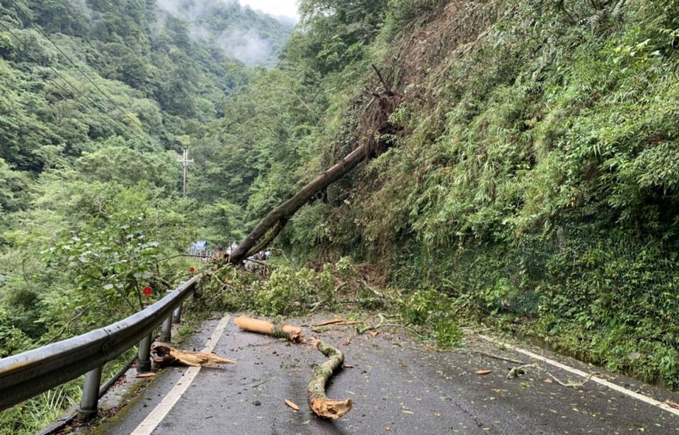 中橫德基路段邊坡樹倒 雙向交通受阻不通。
