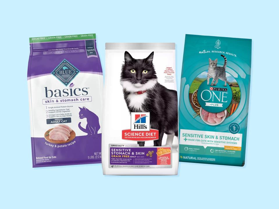 Three of the best dry cat food for sensitive cats from Purina, Hill's, and Blue Buffalo against a blue background.