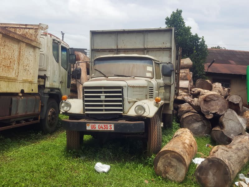 Uganda slowly increases forest cover by tapping private companies