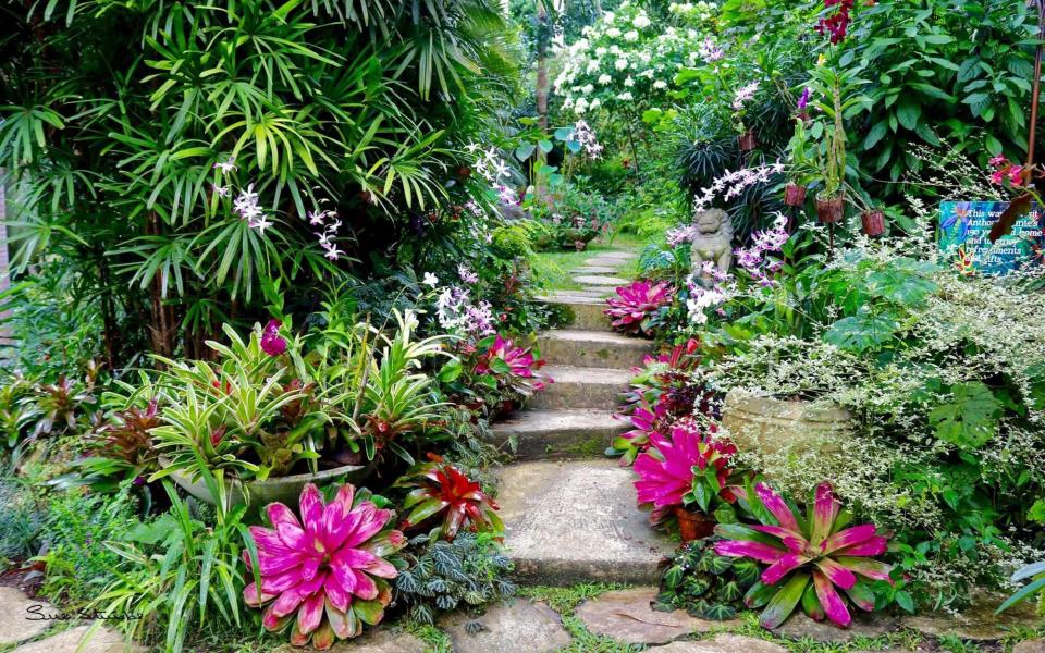 hunte's gardens, barbados