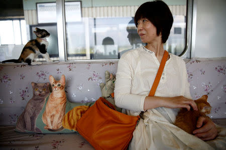 A passenger looks at a cat, in a train cat cafe, held on a local train to bring awareness to the culling of stray cats, in Ogaki, Gifu Prefecture, Japan September 10, 2017. REUTERS/Kim Kyung-Hoon