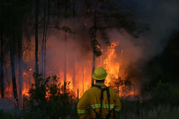 Photo courtesy of SC Forestry Commission