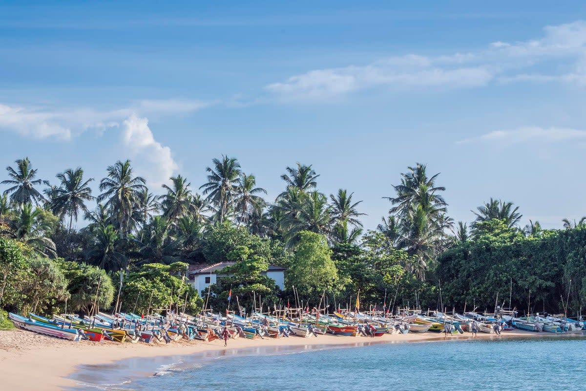 Spot the scenic views: Sri Lanka has myriad sandy beaches on which to relax (Alex Robinson)