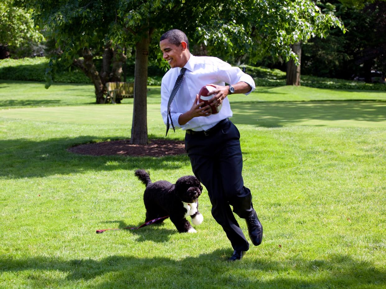 President Barack Obama plays football with the family dog Bo on the South Lawn of the White House May 12, 2009