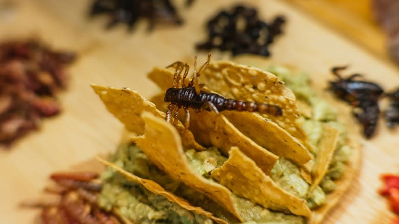 Fried scorpion tacos close up