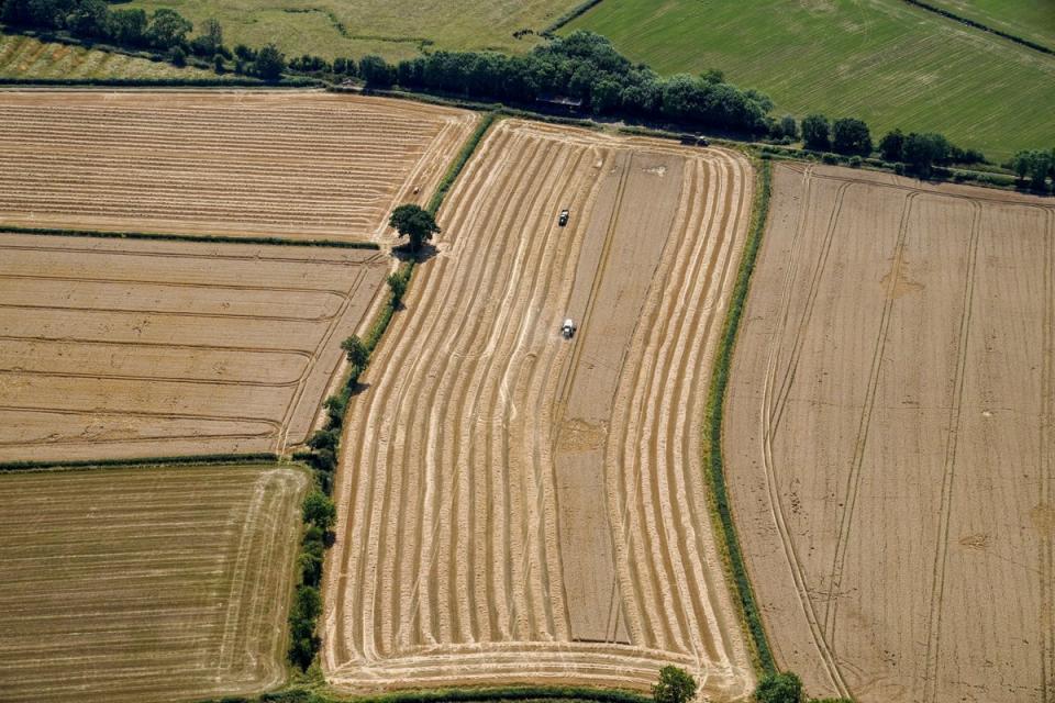 A field of of wheat harvested in Gloucestershire (PA Wire)