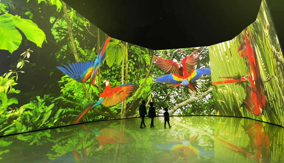 The immersive experience will see footage from Seven Worlds, One Planet projected on multi-angle screens (BBC Earth Experience/PA)