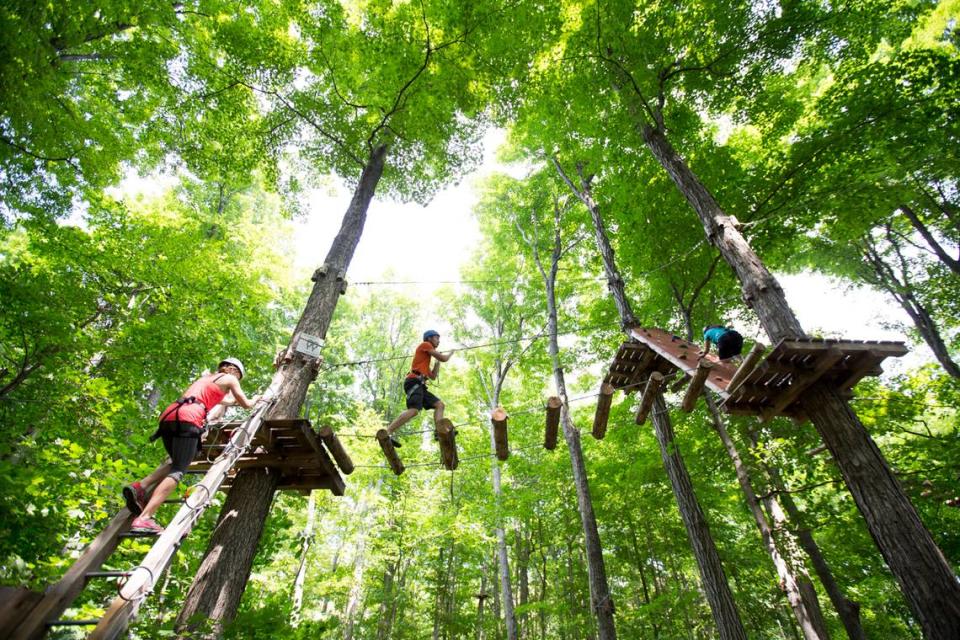 Visitors will take to the trees at the new Jungle Island eco-adventure park.