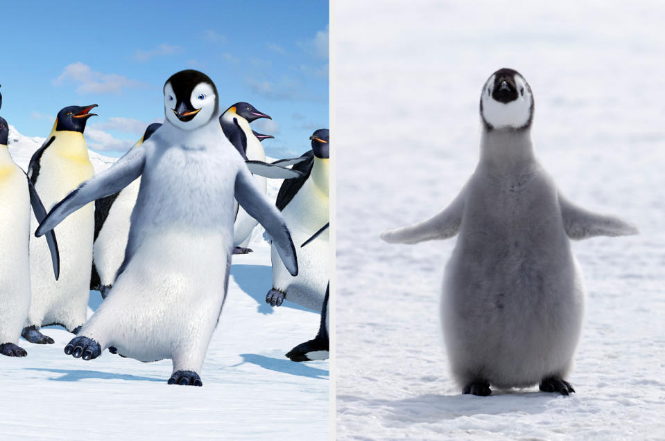 Mumble in the snow with other penguins and an emperor penguin in the snow