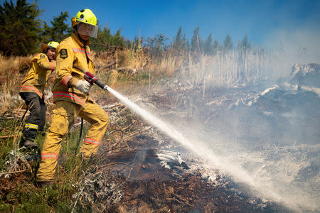 New Zealand Defence Force firefighters combat the Richmond fire near Nelson, South Island, New Zealand, February 8, 2019. Chad Sharman/New Zealand Defence Force/Handout via REUTERS