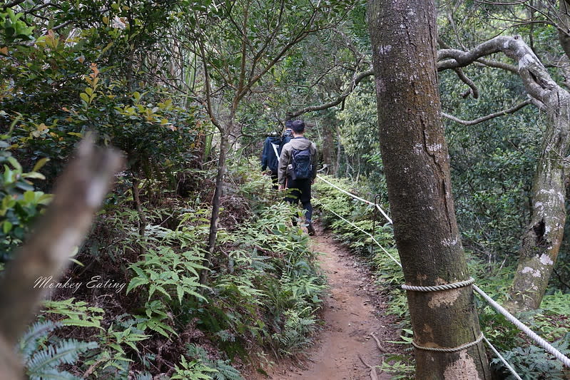 苗栗三義｜火炎山登山步道