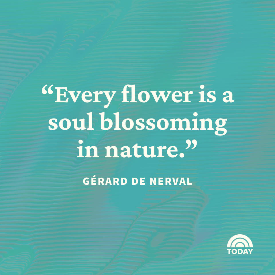 Flower Quotes