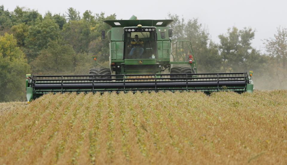 A combine operator harvests soybeans in Indiana. The state has a lot of soybeans and corn, but there are many other types of unusual and diverse farming across Indiana that are an equally important part of the state's agriculture identity.