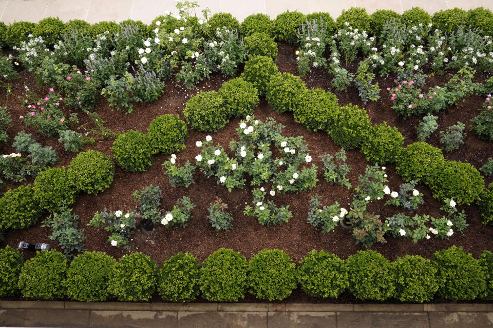 A view of the restored Rose Garden is seen at the White House in Washington, Saturday, Aug. 22, 2020. First Lady Melania Trump will deliver her Republican National Convention speech Tuesday night from the garden, famous for its close proximity to the Oval Office. The three weeks of work on the garden, which was done in the spirit of its original 1962 design, were showcased to reporters on Saturday. (AP Photo/Susan Walsh)