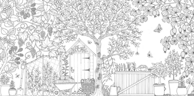 The Best Adult Coloring Books for a Better Headspace - srgserv.com