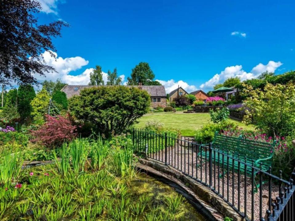 Bury Times: Pond in the garden