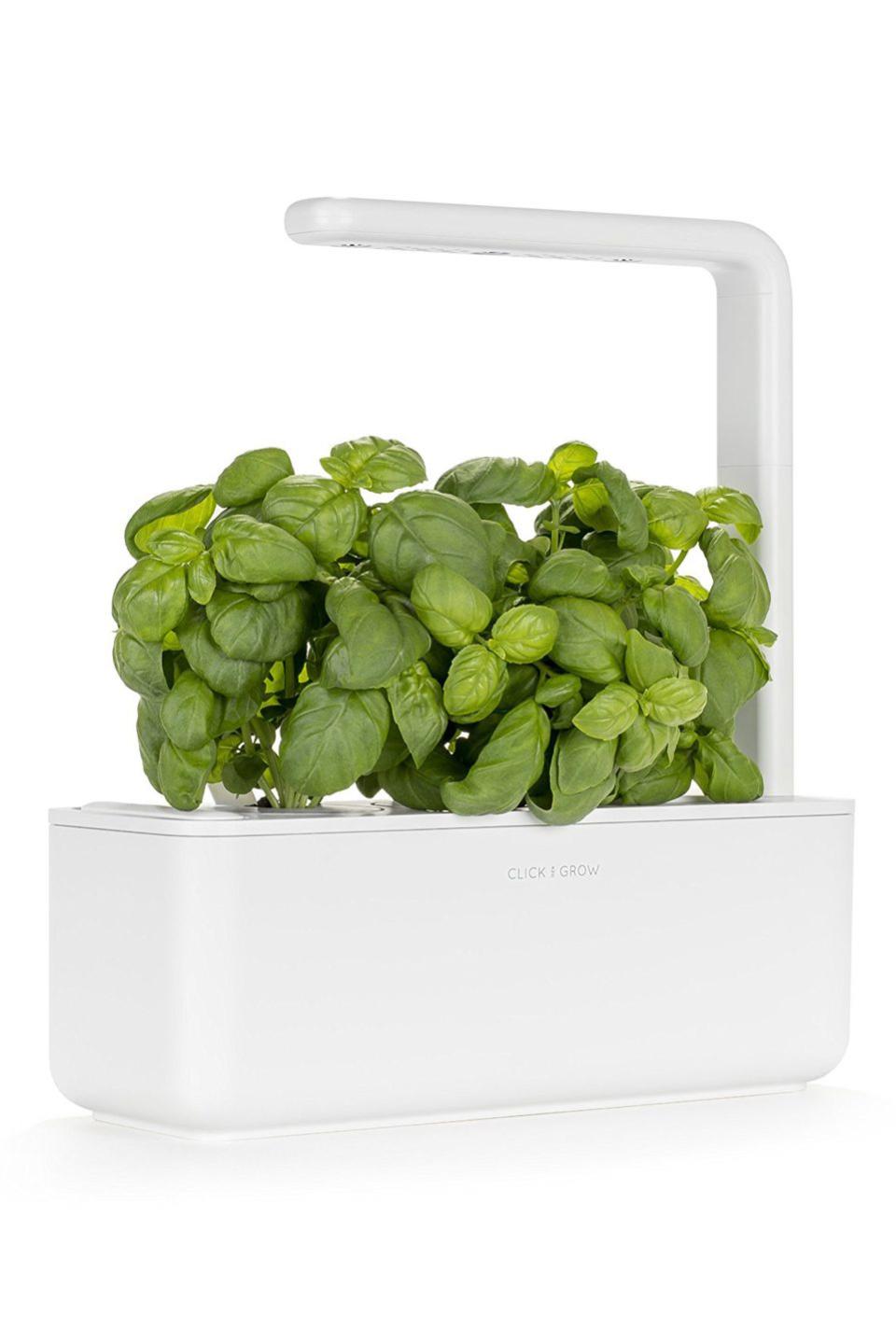 Smart Garden Indoor Gardening Kit