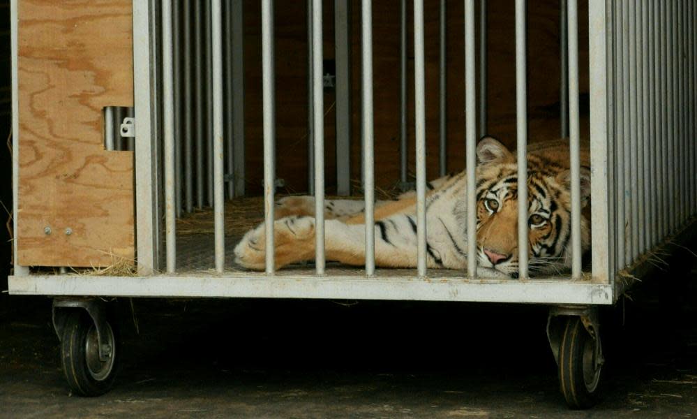 <span>Photograph: Francois Picard/AFP/Getty Images</span>