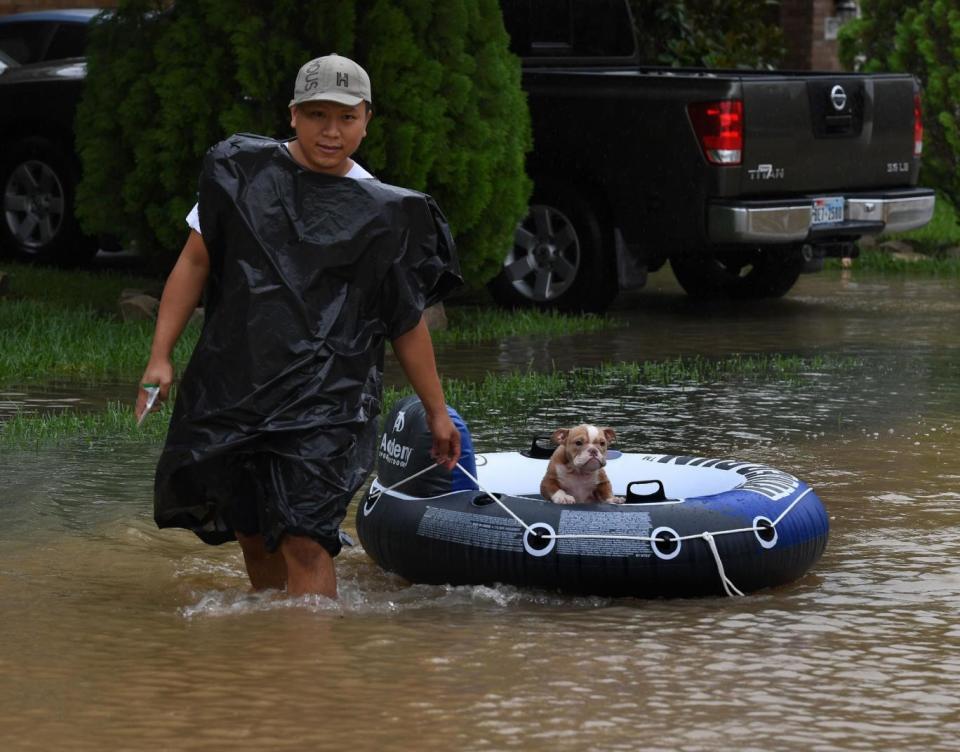 Some owners returned to rescue their pets but many have been forced into shelters and need a new forever home (Getty Images)