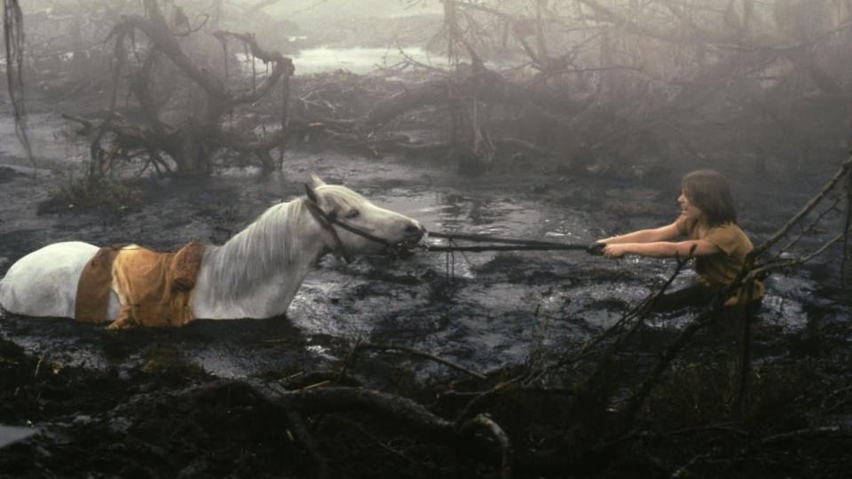 Screenshot from "The NeverEnding Story"