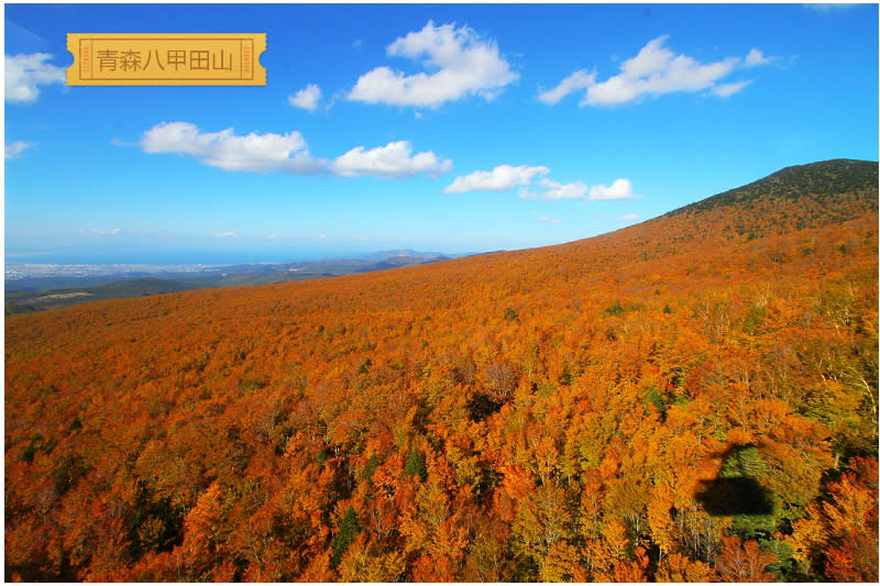 八甲田山紅葉絕景