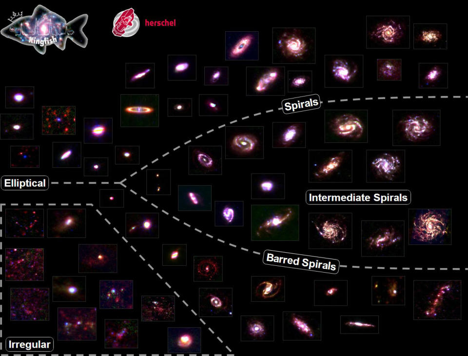 The Hubble tuning fork of galactic evolution as created by Key Insights on Nearby Galaxies: A Far-Infrared Survey with Herschel survey