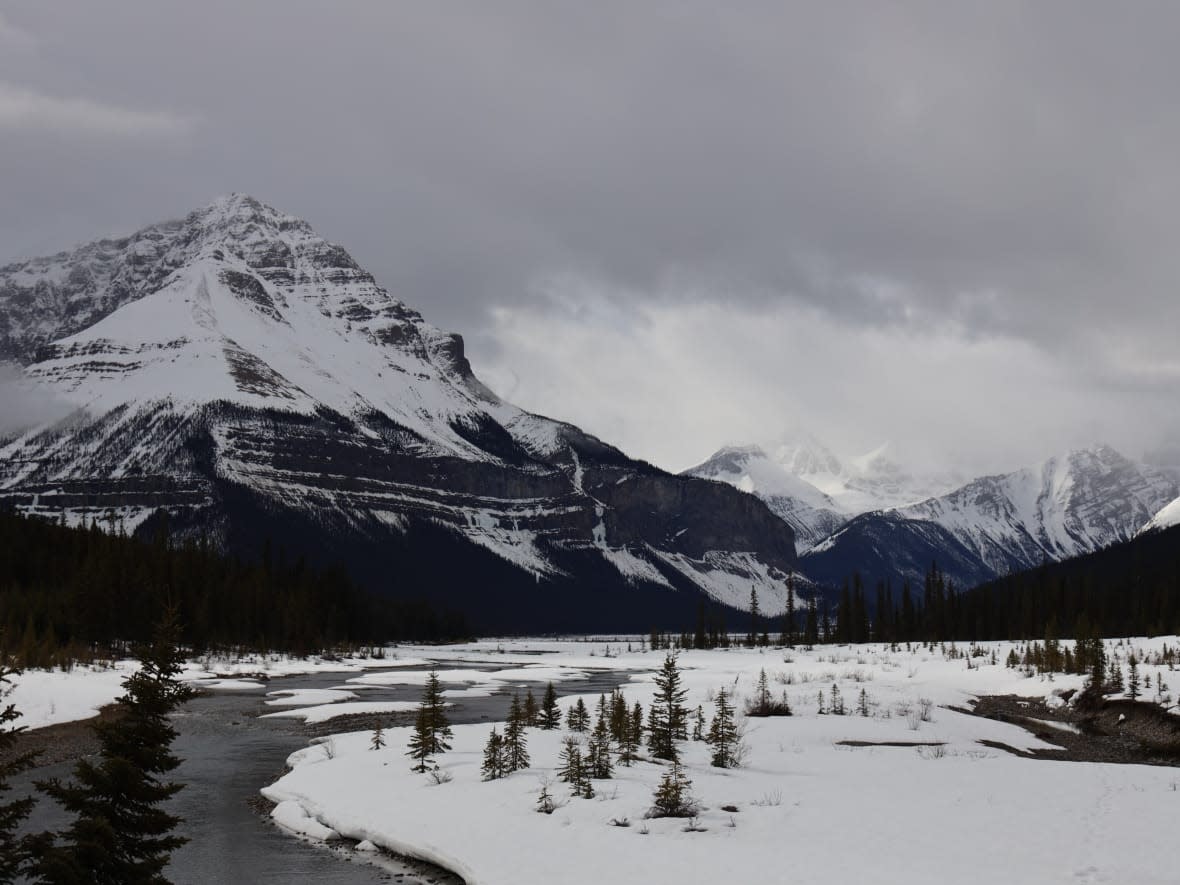 The Canadian Rockies have witnessed 'one of the lowest snowpacks recorded,' according to the Canada Research Chair in Water Resources and Climate Change. (Caitlin Hanson/CBC - image credit)