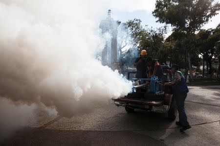 City workers fumigate a park as part of preventive measures against the Zika virus and other mosquito-borne diseases in Santa Tecla, El Salvador January 29, 2016. REUTERS/Jose Cabezas