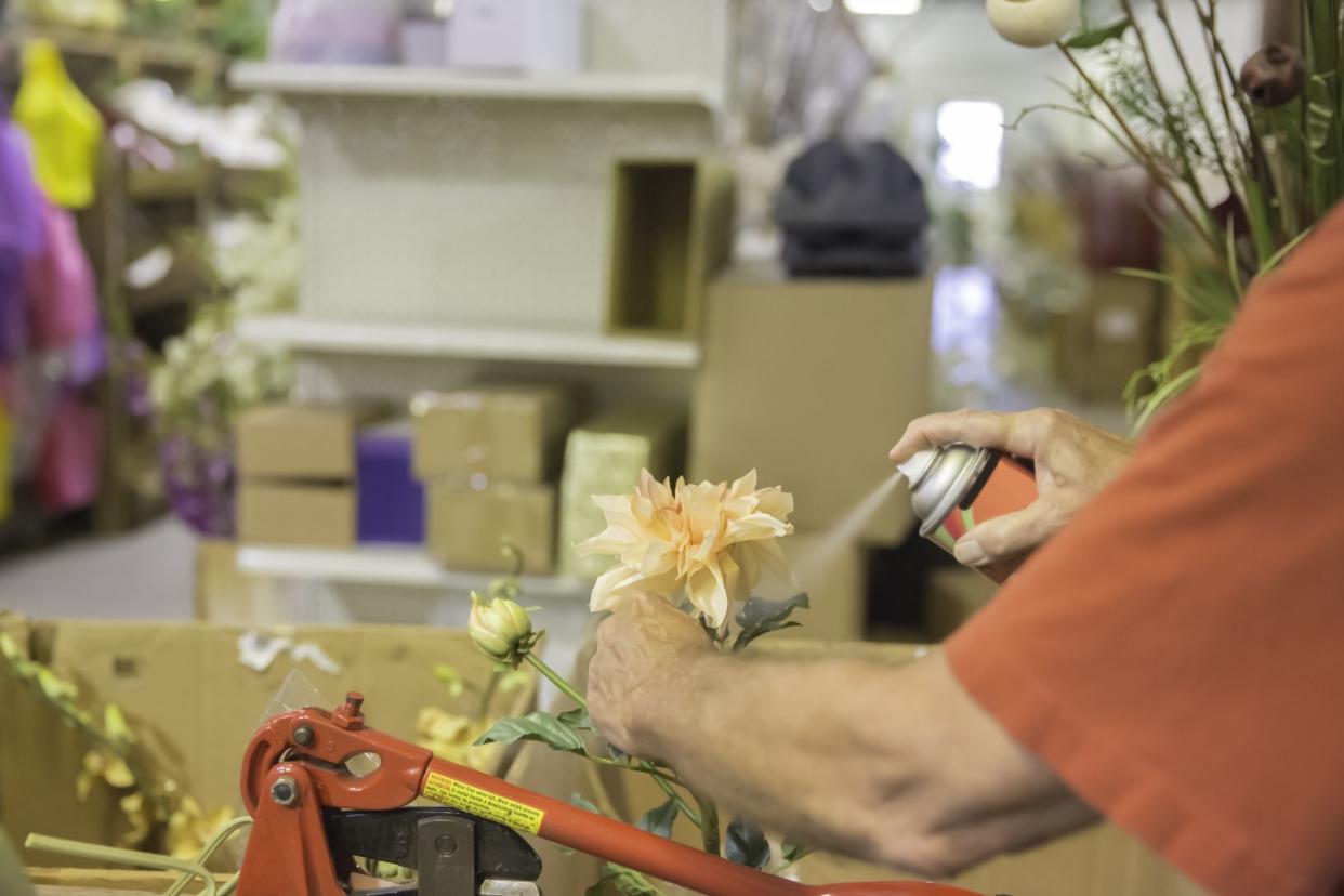Man spraying a silk flower with cleaner.RM